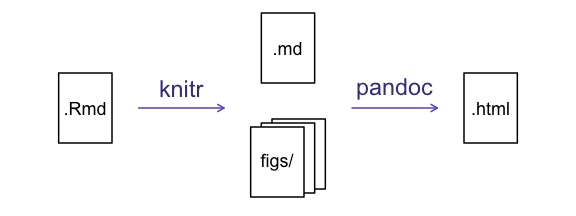 The ‘knitting’ process: First, R Markdown is converted to Markdown, which is then converted (via pandoc) to .html, .pdf, .docx, etc.